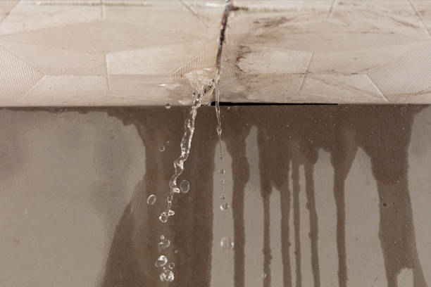 Professional Sewage Cleanup technician working in Lewiston, UT